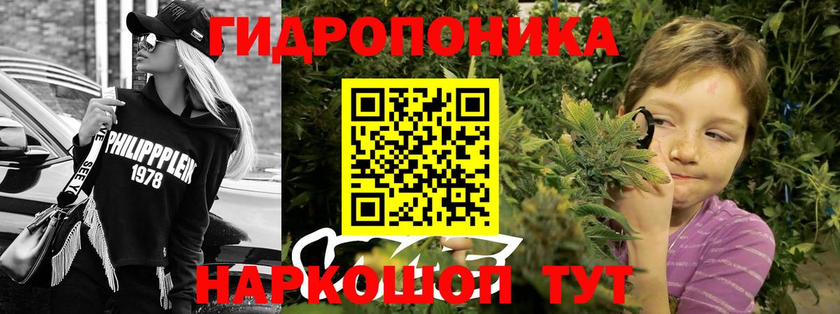Бошки марихуана марихуана Полысаево